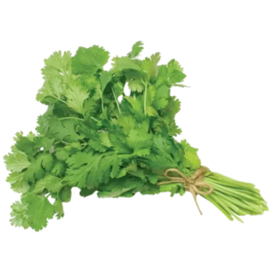 O/A-Coriander Leaves