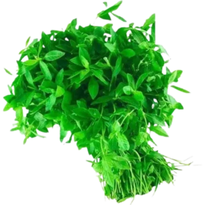 O/A-Mukunuwenna 250g