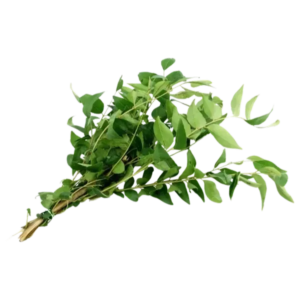 O/Curry Leaves (Karapincha)