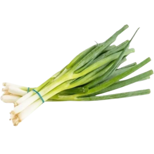O/Fresh Spring Onions
