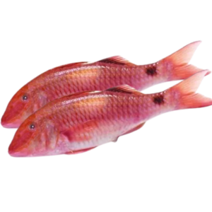 Pre Order - Red Mullet (Gal Malu) 500g+