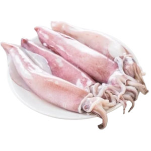 Pre Order - Squid (Kanavai Fish) 600g+