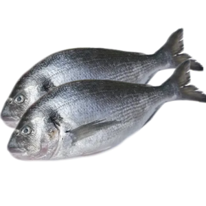 Pre Order - Sea Bream 1kg+
